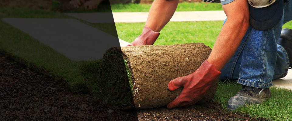 Des Moines Landscapers